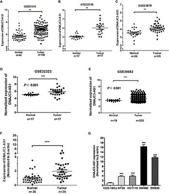 LncRNA DNAJC3-AS1 Regulates Fatty Acid Synthase via the EGFR Pathway to Promote the Progression of Colorectal Cancer